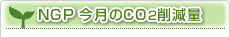 NGP�����CO2�︺��