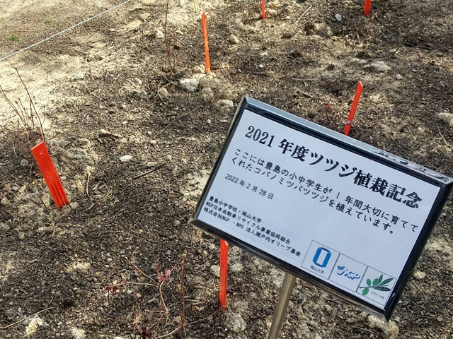 豊島小中学校、岡山大学土壌環境管理学研究室、瀬戸内オリーブ基金と共同でツツジの植樹式8