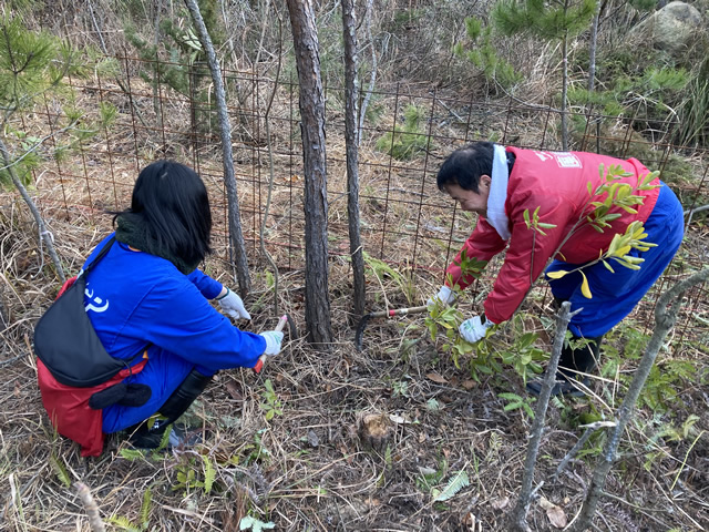 雑草の除去作業の様子1