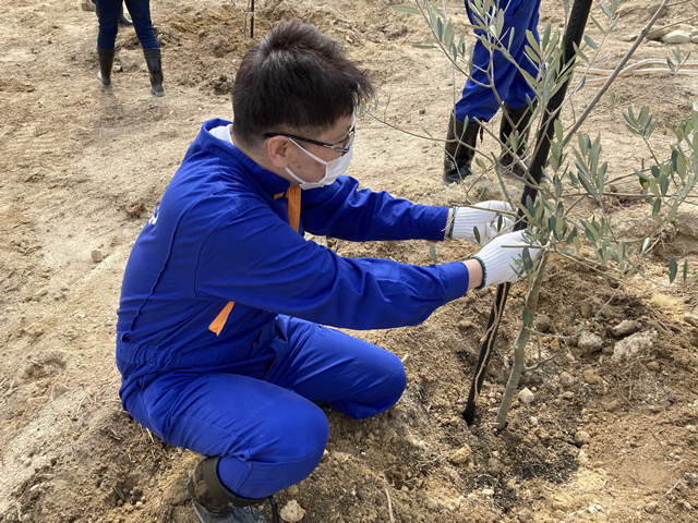 「柚の浜」元・荒廃地でのオリーブの植樹式4