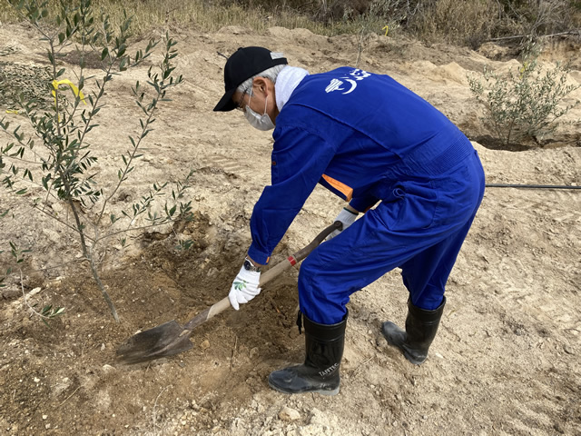 「柚の浜」元・荒廃地でのオリーブの植樹式2