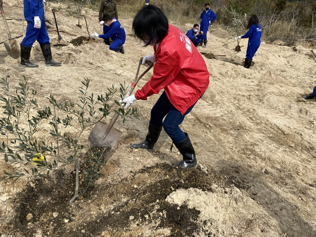 「柚の浜」元・荒廃地でのオリーブの植樹式3