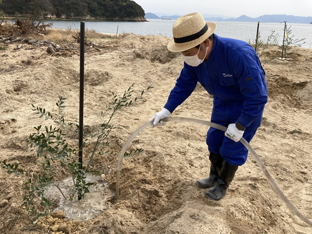 「柚の浜」元・荒廃地でのオリーブの植樹式6