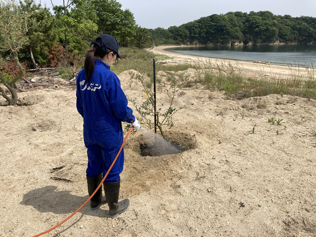 2022-05-19「柚の浜」オリーブ木 植樹2