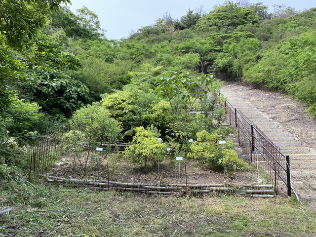 NGP香川県豊島　環境保全・再生活動 