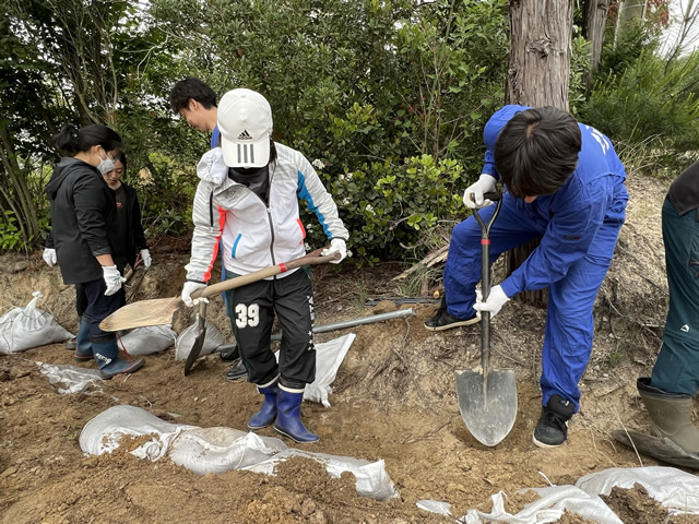 「柚の浜」オリーブ木 植樹1