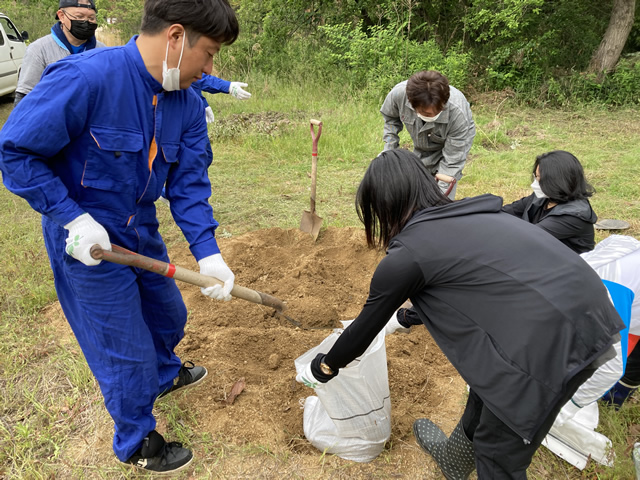 【コバノミツバツツジの植栽地】雑草の除去作業の様子2