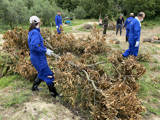 2021-5-28-29 「柚の浜」荒廃地の整備 雑草等の除去作業2
