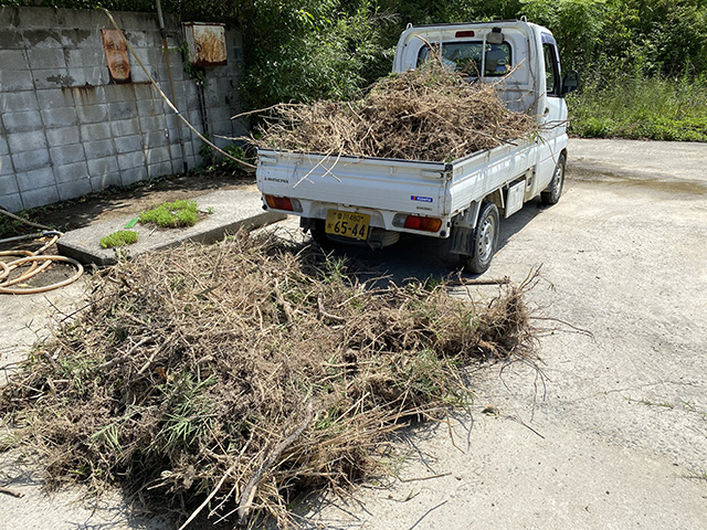 「柚の浜」荒廃地の整備 雑草等の除去作業