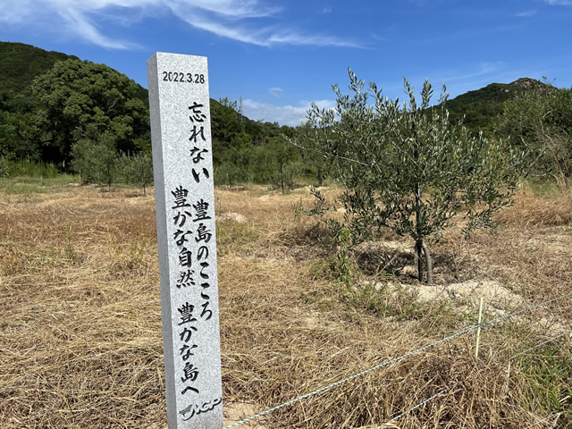 2022-09-13「柚の浜」オリーブ木 植樹4