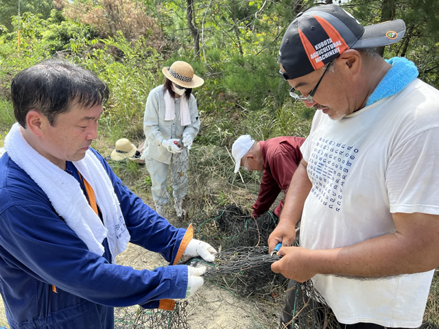 雑草の除去作業の様子1