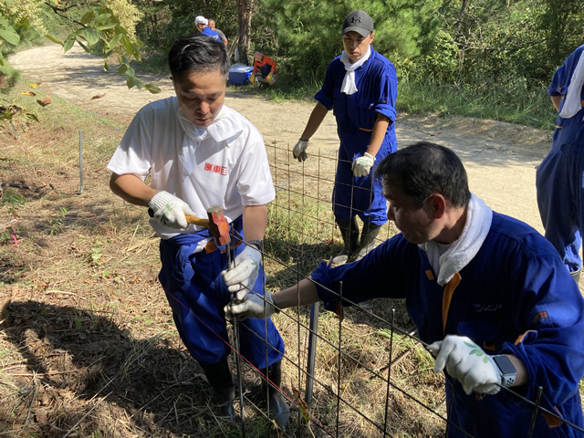 雑草の除去作業の様子2