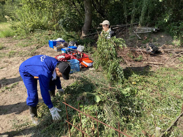 【見学道の植栽地】の雑草除去2