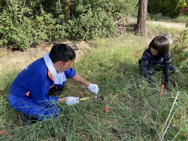 【コバノミツバツツジの植栽地】雑草の除去作業の様子1