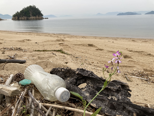 2022-05-19「水ヶ浦」東側と、「柚の浜」の2か所にて海岸清掃5