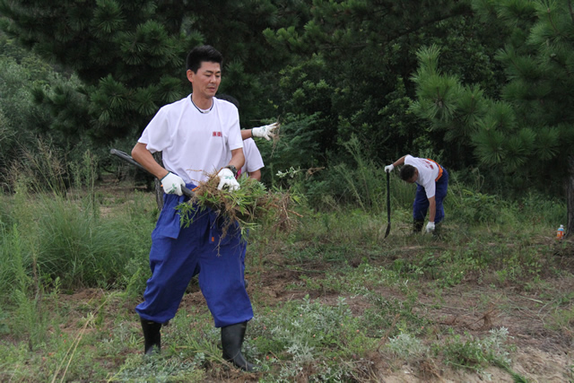 2019-8-27 国立公園原状回復 活動現場5