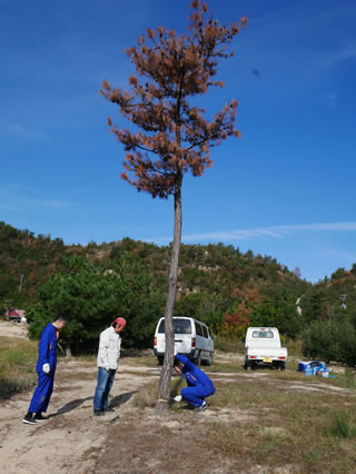 2019-10-23 国立公園原状回復 活動現場1