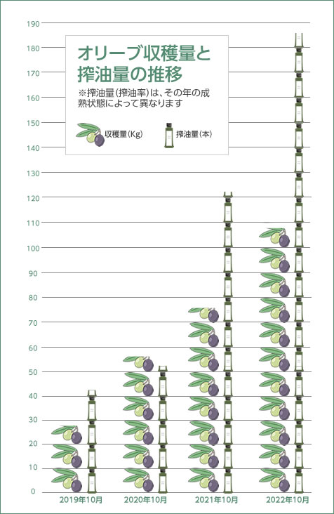 オリーブ収穫量と搾油量の推移