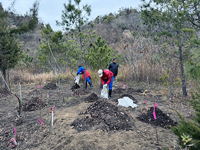 2023-02-01雑草の除去作業3