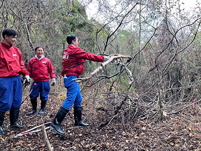 2023-02-01雑草の除去作業3