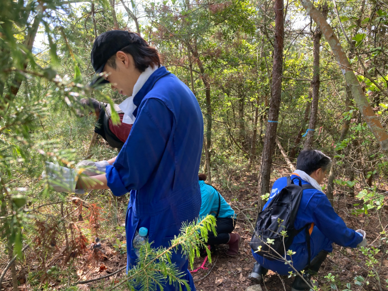 2023-04-27雑草の除去作業2