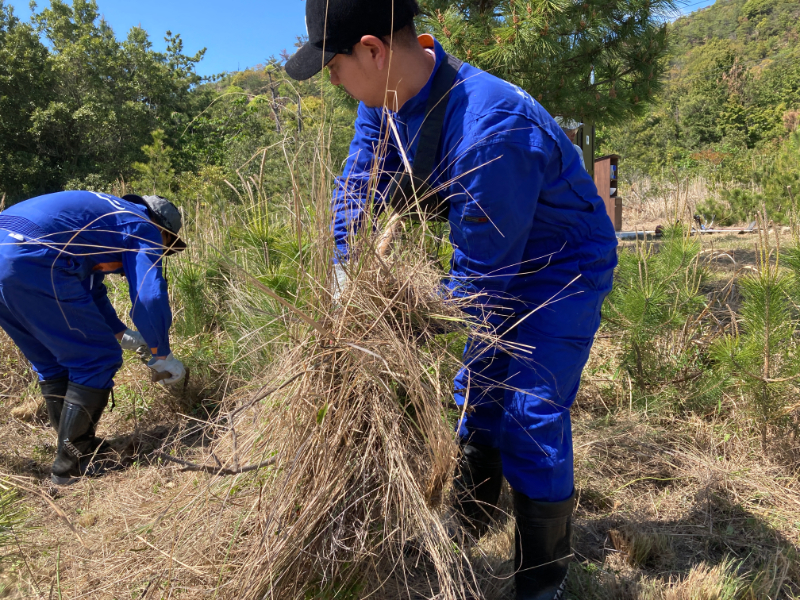 2023-04-27雑草の除去作業2