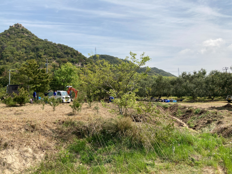 2023-04-27雑草の除去作業6