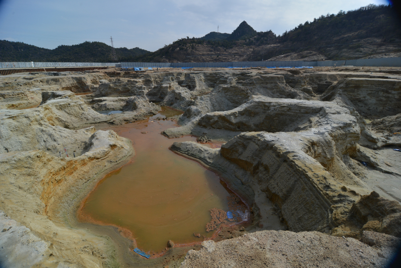 2023-04-27雑草の除去作業8