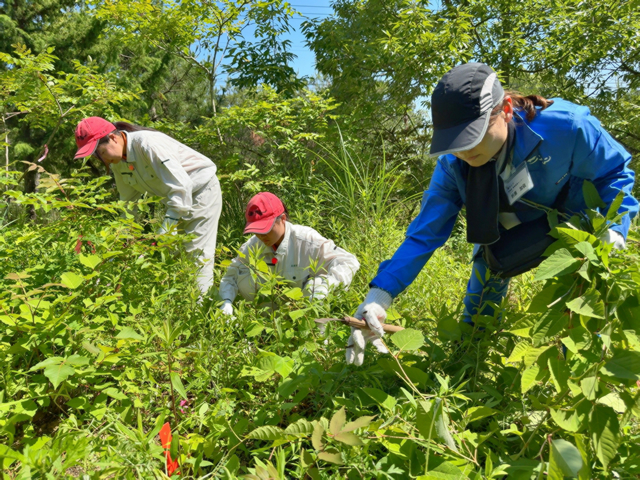 NGPの植生回復活動について学び、体験する様子