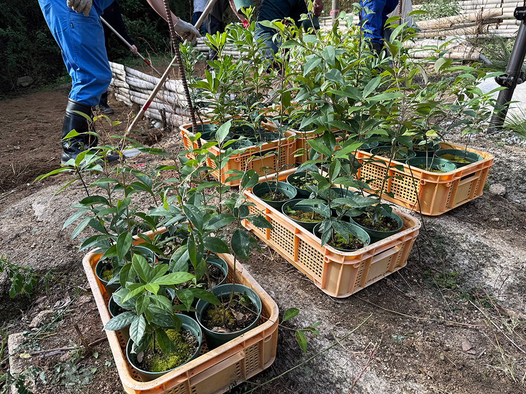 植樹の前準備の様子1