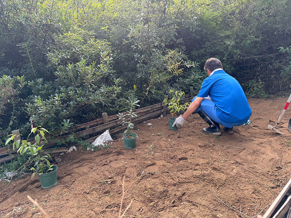 植樹の前準備の様子2