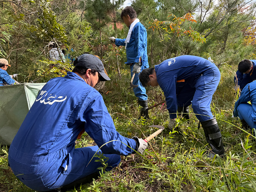 雑草を手作業で刈る様子1