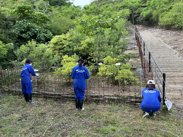 NGP香川県豊島　環境保全・再生活動 しがら柵の補修作業の様子2