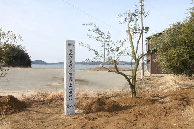 石碑と植樹したオリーブの木